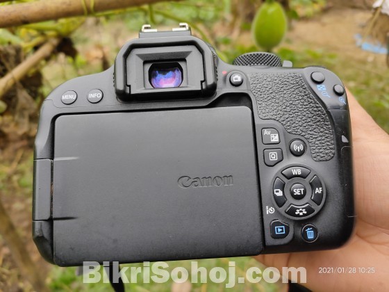 Canon 800D with 2 Lens